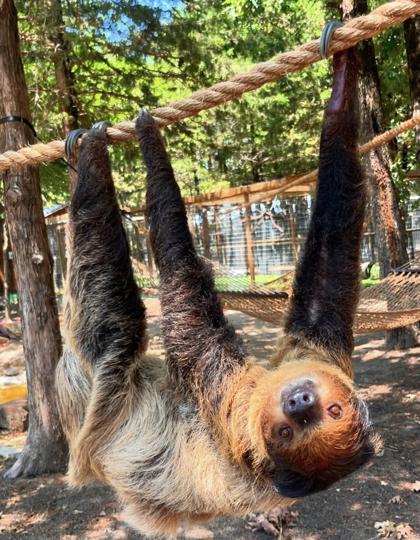Wildlife Experience at Oak Meadow Ranch